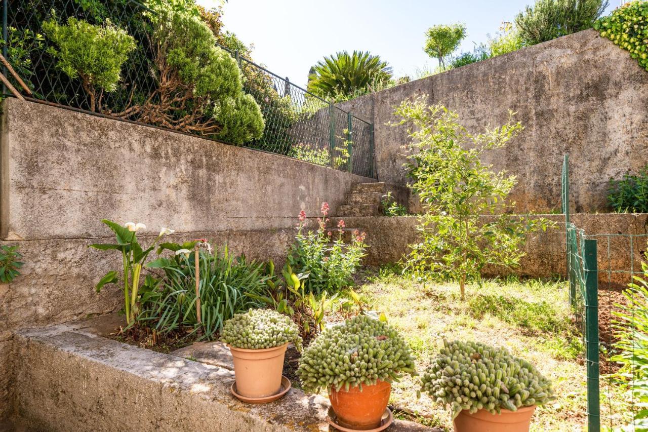 Kos Apartamento